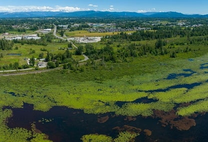 Aerial view of Tennant Lake in Ferndale, WA during summer