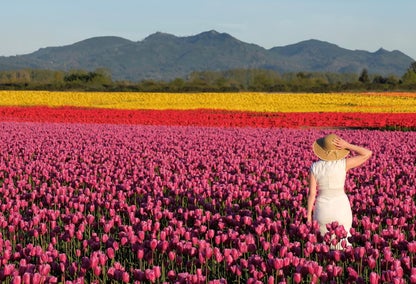 Woman in tulip field in Mount Vernon, WA